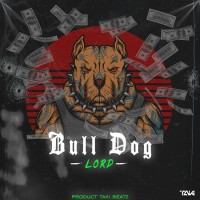 Lord - Bull Dog