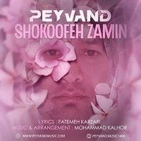 Peyvand - Shokoofeh Zamin