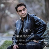 Saeid Shahrouz - Deltangi