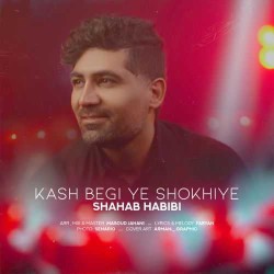 Shahab Habibi - Kash Begi Ye Shookhiye