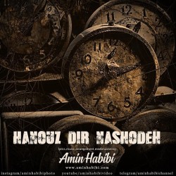 Amin Habibi - Hanooz Dir Nashodeh