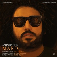 Amin Rafiee - Mard