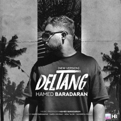 Hamed Baradaran - Deltang ( New Version )