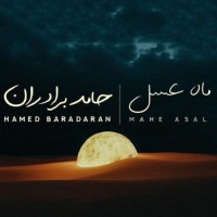Hamed Baradaran - Mahe Asal