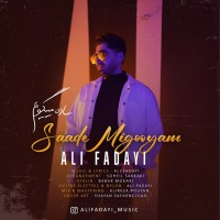 Ali Fadayi - Saade Migooyam