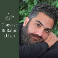 Ali Zand Vakili - Donyaye Bi Rahm ( Live )