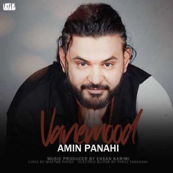 Amin Panahi - Vanemood