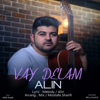 Alin - Vay Delam