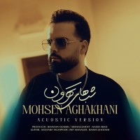 Mohsen Aghakhani - Shabhaye Tehroon ( Acoustic Version )