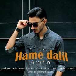 Amin - Hame Dalil