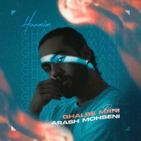 Haamim - Ghalbe Mani ( Arash Mohseni Remix )