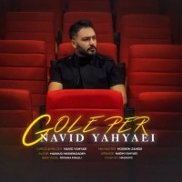 Navid Yahyaei - Gole Per
