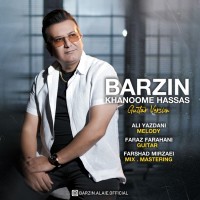 Barzin - Khanoome Hassas ( Guitar Version )