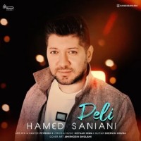 Hamed Saniani - Deli