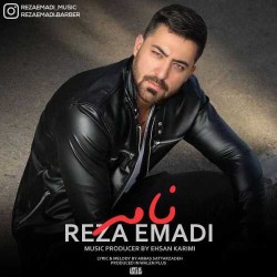 Reza Emadi - Name