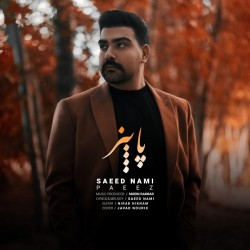 Saeed Nami - Paeez