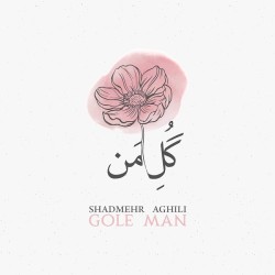 Shadmehr Aghili - Gole Man ( Live )