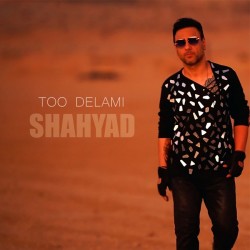 Shahyad - Too Delami
