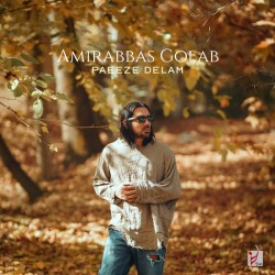 Amir Abbas Golab - Paeez Delam
