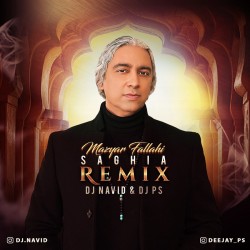 Dj Navid & DJ PS - Saghia ( Remix )