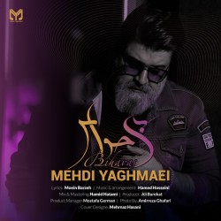 Mehdi Yaghmaei - Bi Havas