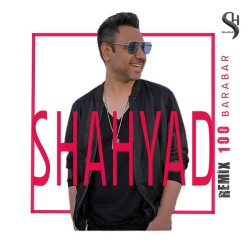 Shahyad - 100 Barabar ( Remix )