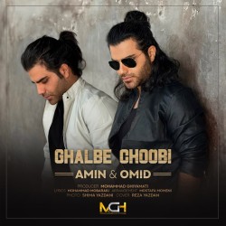 Amin & Omid - Ghalbe Choobi