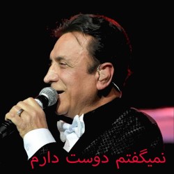 Hasan Shamaizadeh - Nemigoftam Dooset Daram
