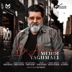 Mehdi Yaghmaei - Bi Havas ( Guitar Version )