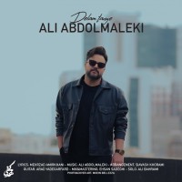 Ali Abdolmaleki - Delam Tange