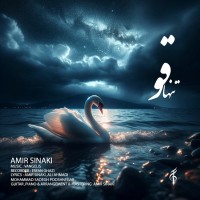 Amir Sinaki - Tanha Ghoo