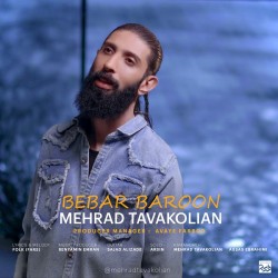 Mehrad Tavakolian - Bebar Baroon