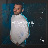 Meysam Ebrahimi - Shale Siah