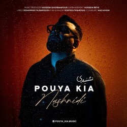 Pouya Kia - Nashnidi