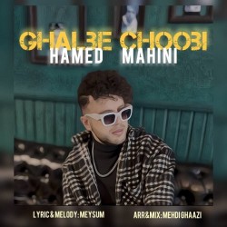 Hamed Mahini - Ghalbe Choobi