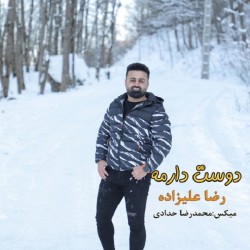 Reza Alizadeh - Doset Darmeh