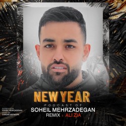 Soheil Mehrzadegan - New Year Podcast