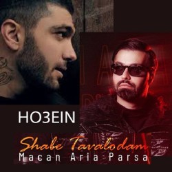 Macan Aria Parsa - Shabe Tavalodam ( Remix )
