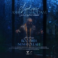 Roozbeh Nematollahi - Nakone Ashegh Shodam