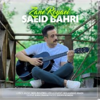 Saeid Bahri - Zan Royaei