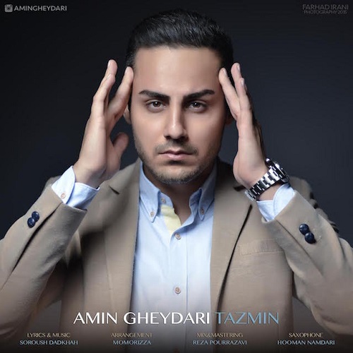 Amin Gheydari - Tazmin