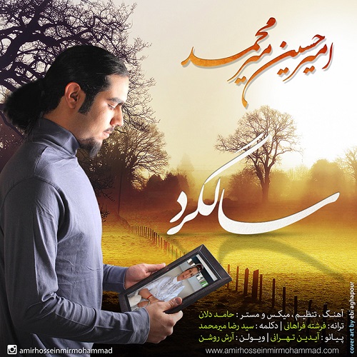 Amir Hossein Mir Mohammad - Salgard