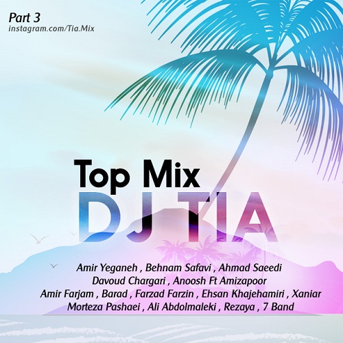 Dj Tia - Top Mix ( Part 3 )