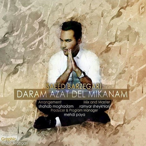 Saeed Barzegari - Daram Azat Del Mikanam
