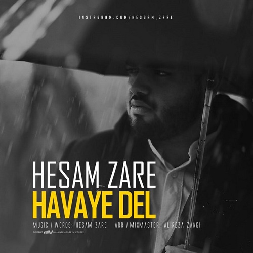 Hesam Zare - Havaye Del