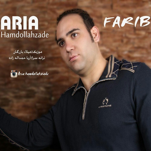 Aria Hamdollahzadeh - Farib