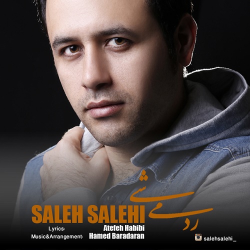 Saleh Salehi - Rad Mishi