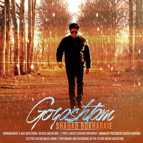 Shahab Bokharaei - Gozashtam