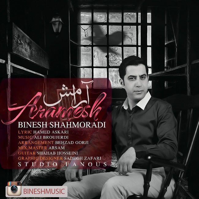 Binesh Shahmoradi - Aramesh