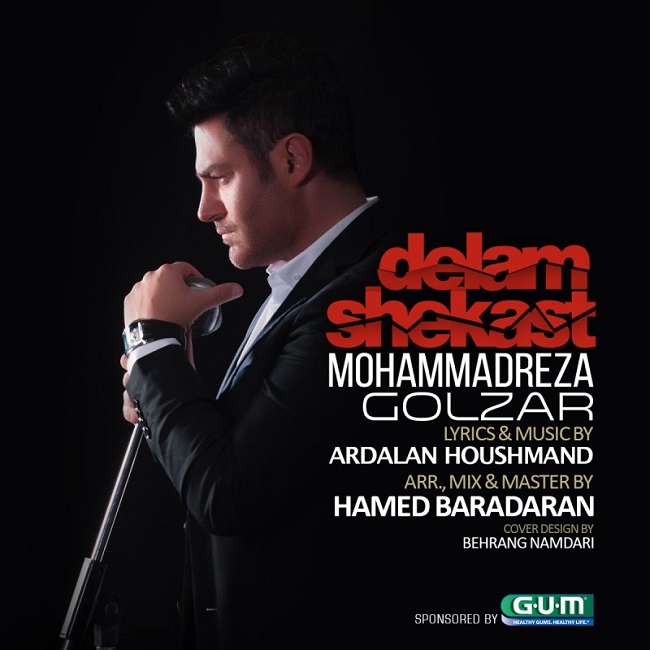Mohammadreza Golzar - Delam Shekast
